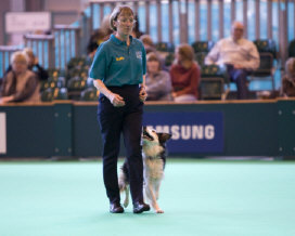Bea at Crufts 2009