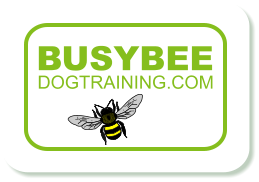 Busy Bee Dog Training Isle of Man - Home Page Busy Bee Dog Training Isle of Man - Home Page